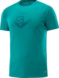 Tshirt Salomon Men Stroll Graphic SS Deep Lake