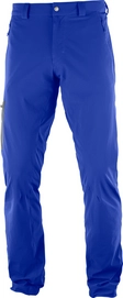 Hose Salomon Wayfarer Incline Surf The Web Herren