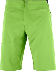 Kurze Hose Salomon Outspeed Short Greenery Herren