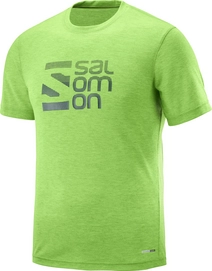 Tee-Shirt Salomon Men Explore Graphic SS Greenery