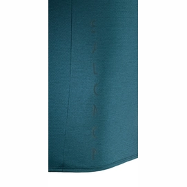 T-Shirt Salomon Men Pulse SS Reflecting Pond Heat