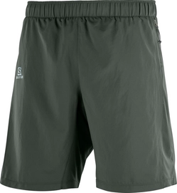 Kurze Hose Salomon Agile 2In1 Short Urban Chic Herren