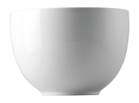 11900-800001-13323_2_f25-_no-bg