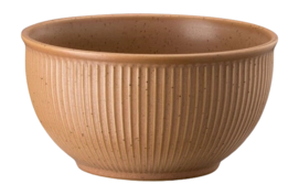 Bowl Thomas Clay Cereal Earth 13 cm