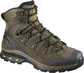 Walking Boots Salomon Men Quest 4D 3 GTX Wren