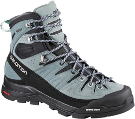 Wandelschoen Salomon Women X Alp High LTR GTX Lead