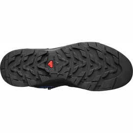 Wandelschoen Salomon Women X Alp High LTR GTX Crown Blue