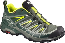 Wandelschoen Salomon Women X Ultra 3 GTX Darkest Spruce