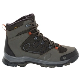 Wanderschuhe Jack Wolfskin Cold Terrain Texapore Mid M Pinewood Herren