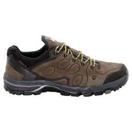 Wanderschuh Jack Wolfskin Altiplano Prime Texapore Low M Mocca Herren
