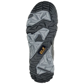 Trailrunningschoen Jack Wolfskin Men Altiplano Prime Texapore Low Phantom