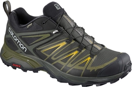 Wandelschoen Salomon Women X Ultra 3 GTX Beluga Green