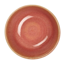 2---24280268-PokebowlMini-dragonfruit-tabletop_720x-_no-bg