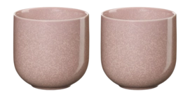 Teetasse ASA Selection Coppa Hanami 200 ml (2er-Set)