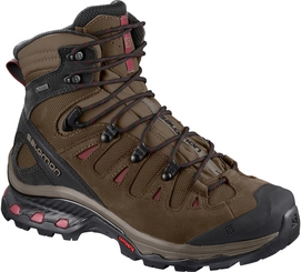 Wandelschoen Salomon Women Quest 4D 3 GTX Teak