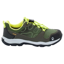 Wandelschoen Jack Wolfskin Boys Akka Texapore Low Woodland Green
