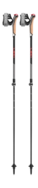 Nordic Walking stok Leki Instructor Lite Dark-Anthracite/Silver-Gray/Bright-Red - 100 / 125 cm