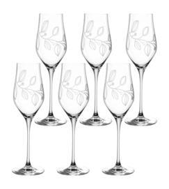 Champagneglas Leonardo Boccio 340ml (Set van 6)