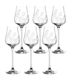 Grappaglas Leonardo Boccio 210ml (Set van 6)