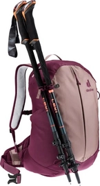 7---3420024-5599-ACLite15SL_ashrose_cassis-D-09