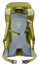 3420624-1206-ACLite16_linden_cactus-D-01@2x