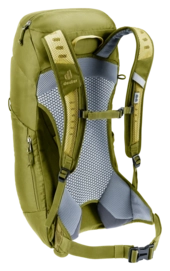 3420624-1206-ACLite16_linden_cactus-D-03@2x