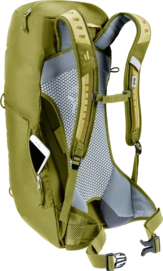 3420624-1206-ACLite16_linden_cactus-D-07@2x