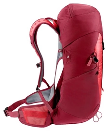 5---3420824-5598-ACLite24_cherry_masala-D-02