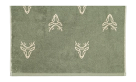 3----6229-43-Zoom HTu-2000