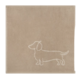 6249-33-Companion