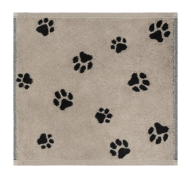 8---6249-93-Paws