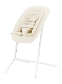 4---cyb_24_int_y045_lemochair_bouncer_adapter_cawh_greyedout_18ff17361b902070-_no-bg