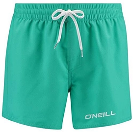 Badehose O'Neill Sun&Sea Salina Green Herren