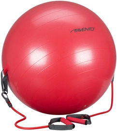 Gymbal Avento Met Elastieken Roze Grijs 65 cm