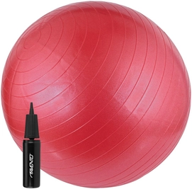 Gymnastikball Avento Mit Pumpe Pink/Schwarz/Weiß 65 cm