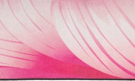 41WS_GRO_detail1