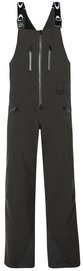 Pantalon de Ski Oakley Mens Bib Forged Iron