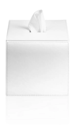 0847850_BROWNIE_KB41_white_mit_Papier_web-_no-bg