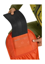 46830-FREE_RIDER_28-D-02-_no-bg