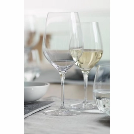 Witte wijnglas Spiegelau Authentis 420 ml (4-delig)