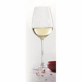 Witte Wijnglas Spiegelau Salute 465 ml (4-delig)