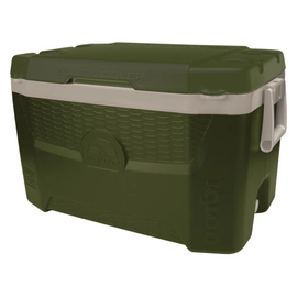 Koelbox Igloo Sportsman Quantum 55 Green