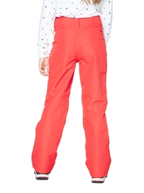 4990000_201_model_back-half_01