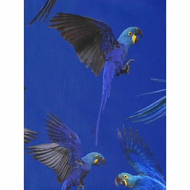 5---2880-x-3840_sample_BluePerrot