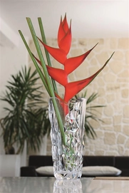 Vaas Nachtmann Sculpture 15,4 x 33 cm