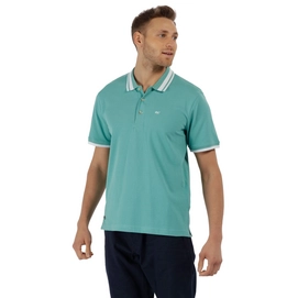 Polo Regatta Men Talcott Jade Green