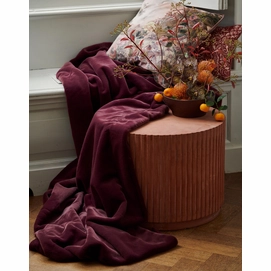 5---Gloria_Cushion_Multi_401747_403_165_LR_S3_P