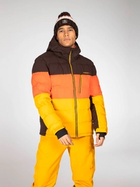 5---Protest-Blur-Dark-Yellow-1 - kopie