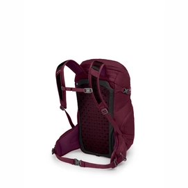 Rugzak Osprey Skimmer 28 Plum Red