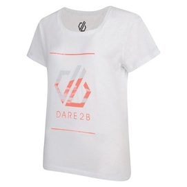 5---Web version-DWT450_900_P_2